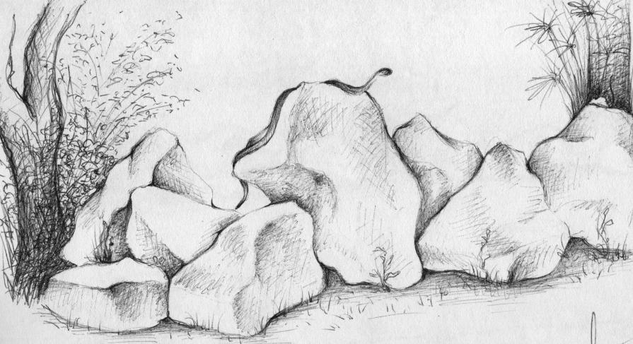 Velata Tensione Velata Tensione