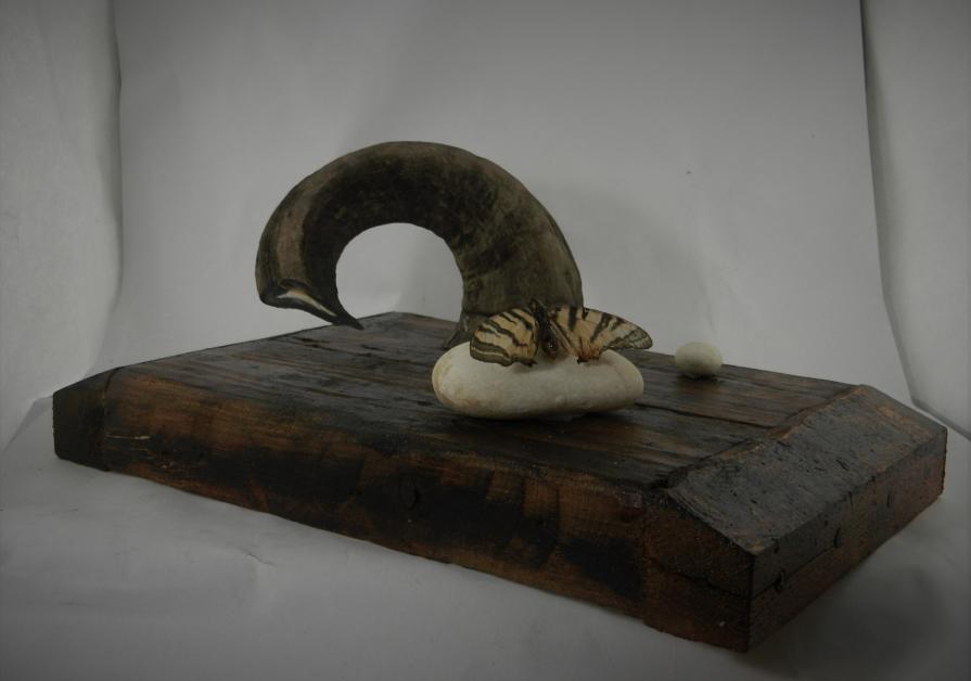 The Choice of Butterfly (Through or over the Gate)