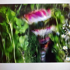 Campo di fiori ....finti..?