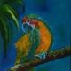 Pappagallo 