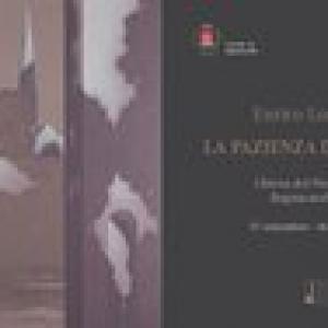 LA PAZIENZA DELL'OMBRA di Enrico lombardi