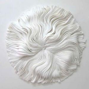 Nero su bianco - Paola Pezzi