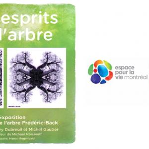 Spirits of the tree Spirits of the tree