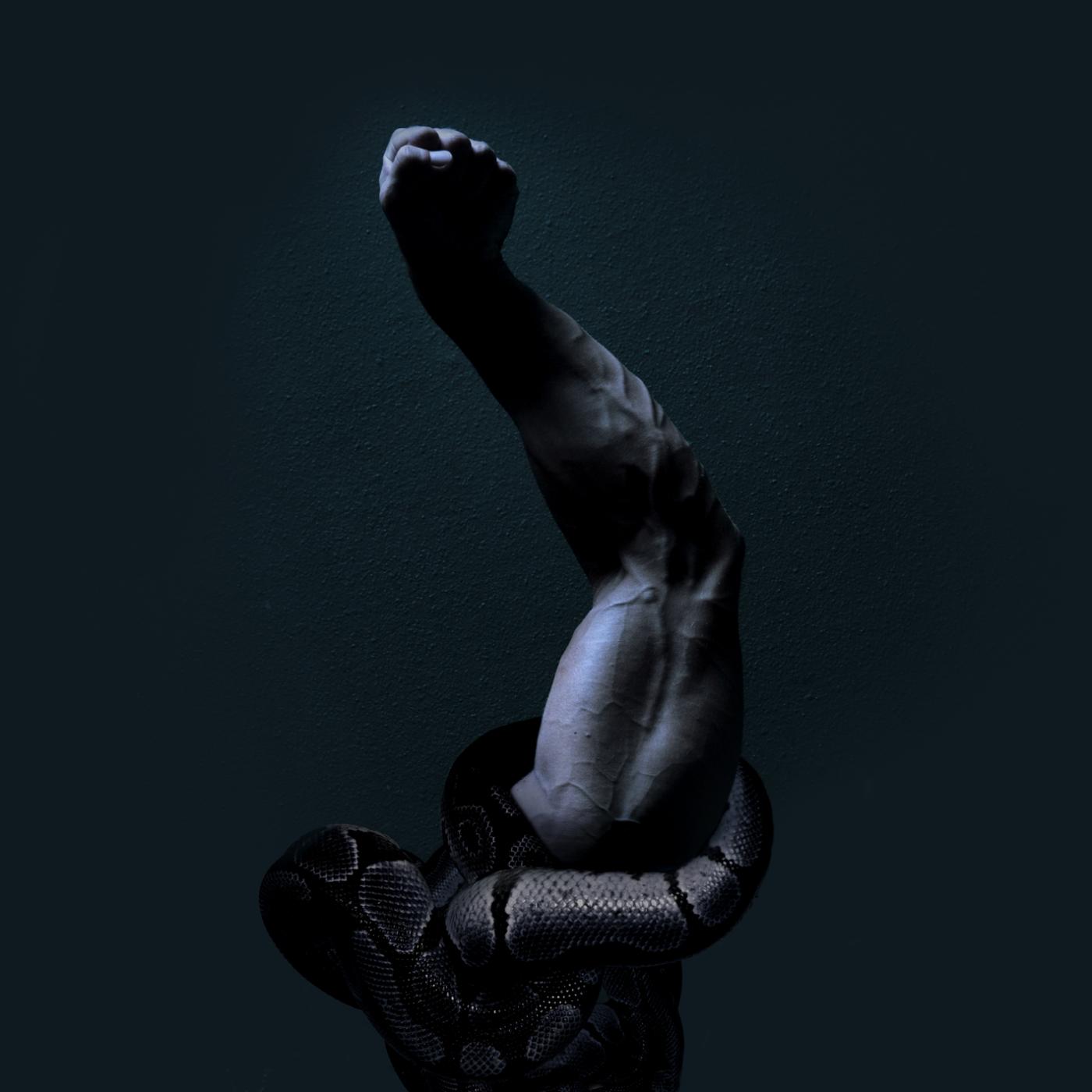 sport your food sport your food