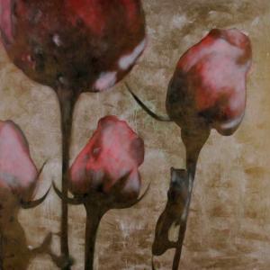 Massimo Barlettani “Polline” Massimo Barlettani “Polline”