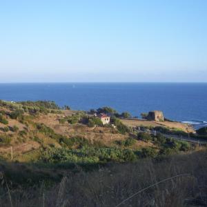 I Mostra di Selezione per la IX BIENNALE INTERNAZIONALE DI ROMA/I Exhibition for Selection of the International IXth Biennale In Rome I Mostra di Selezione per la IX BIENNALE INTERNAZIONALE DI ROMA/I Exhibition for Selection of the International IXth Biennale In Rome