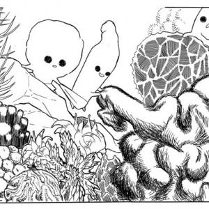 Naturacultura - Snaturati Naturacultura - Snaturati