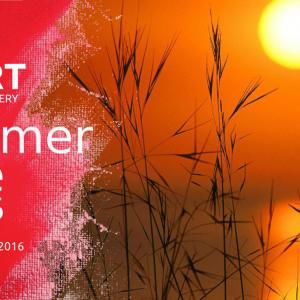 Virtartsummerprize 2016, maurino viaggia TERZO CLASSIFICATO