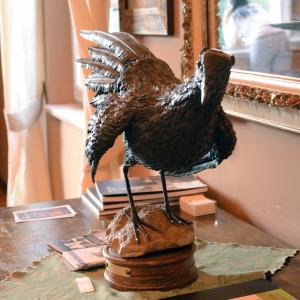 LE FOTO DI ALTRA NATURA IN VILLA fino al 25 ottobre CLUB LA MERIDIANA (MO)