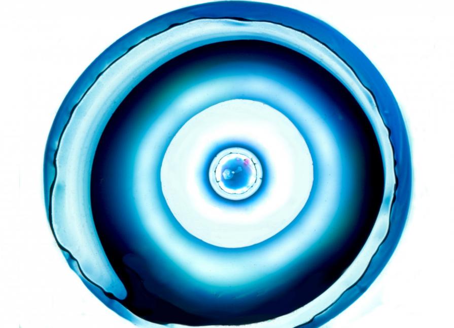 © Natura nella materia © Natura nella materia