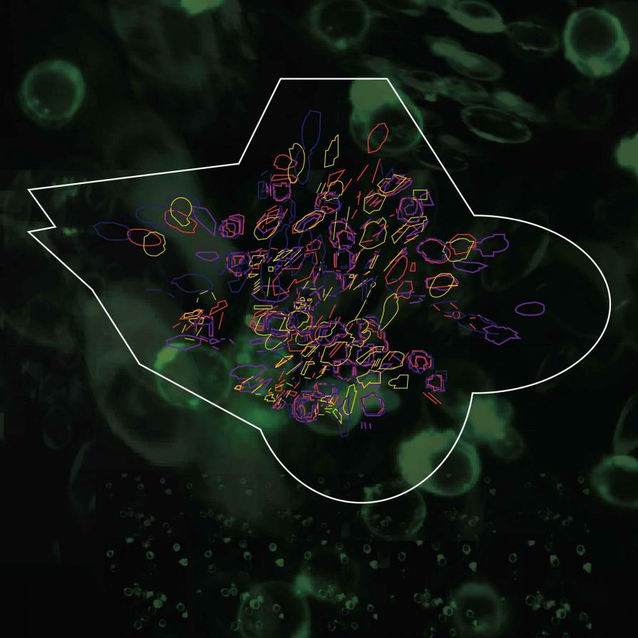 digital stills from animation -wellcome trust wok working with live cells