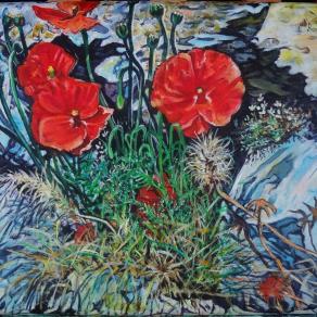 Papaveri  tra le Rocce     