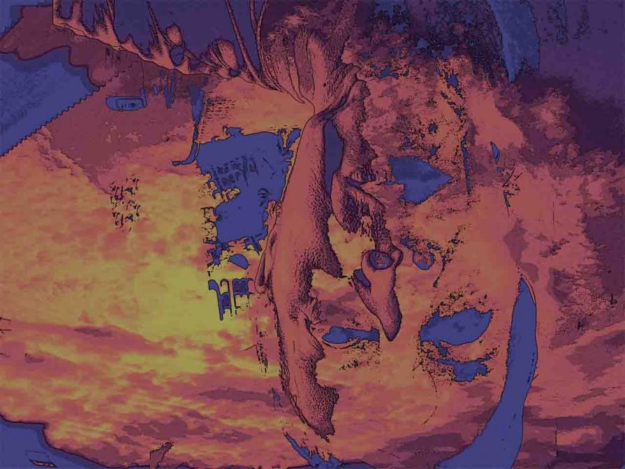 Leila morì di dolore Leila morì di dolore