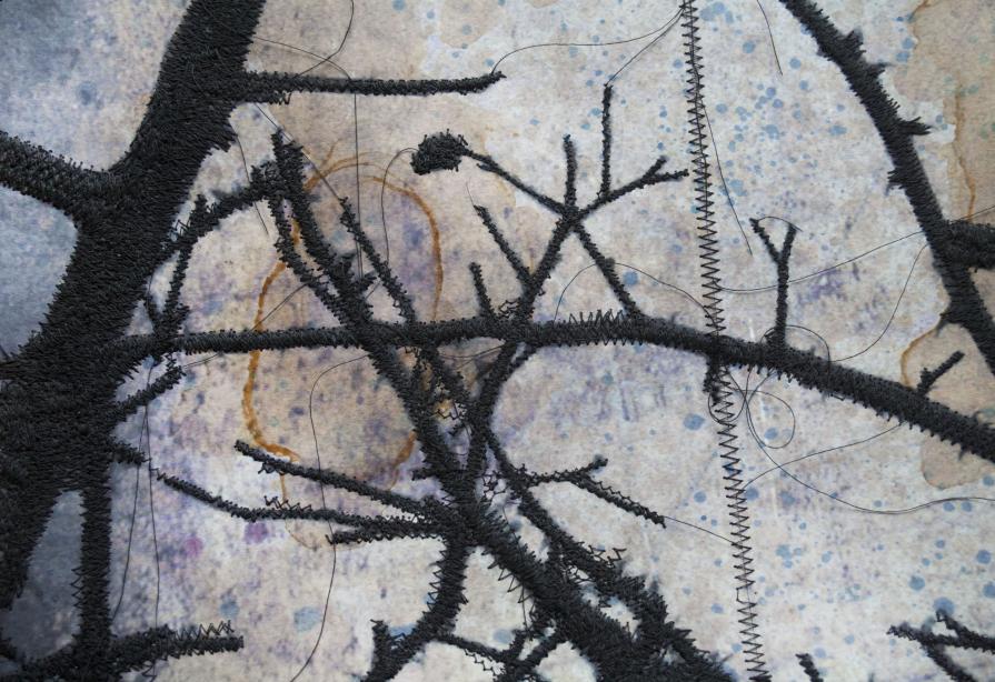 particolare 01 dell'opera - Canina 08