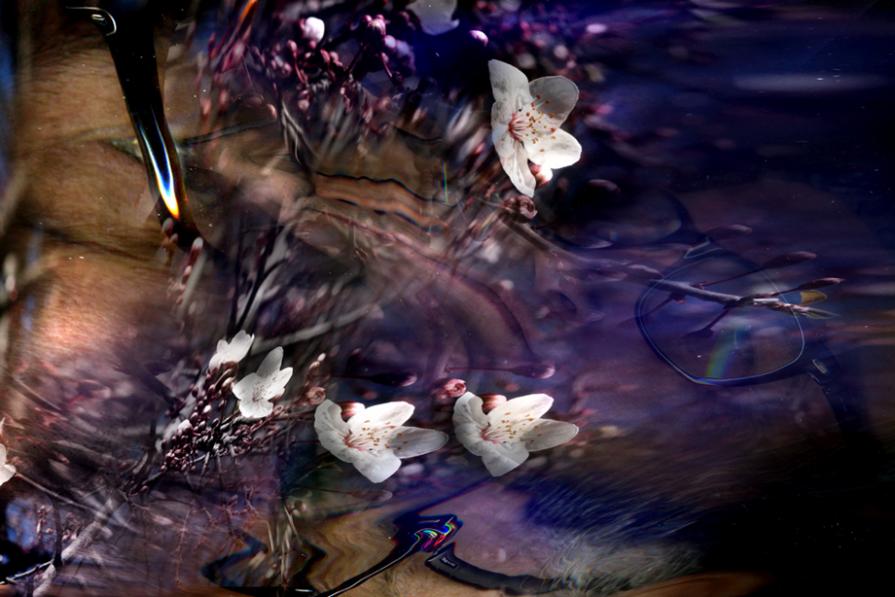 la natura si risveglia in me.