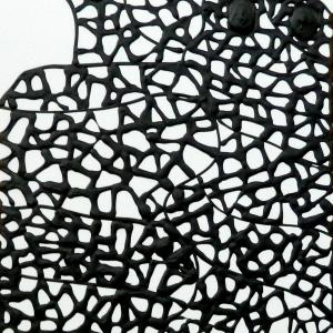 La Pedrera La Pedrera