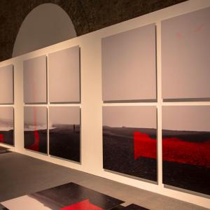 ALEC VON BARGEN - 56TH VENICE BIENNALE - MAN, FORGOTTEN - ARSENALE ALEC VON BARGEN - 56TH VENICE BIENNALE - MAN, FORGOTTEN - ARSENALE