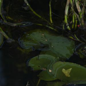 WaterLines series pic 1 WaterLines series pic 1