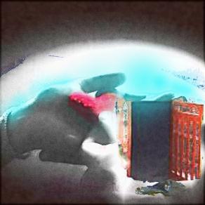 Che mi può dare !!!