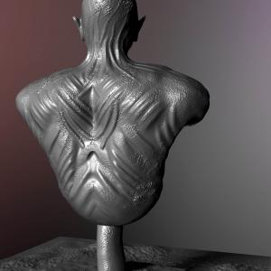 The Bust By Yacine BRINIS 2016 View 11