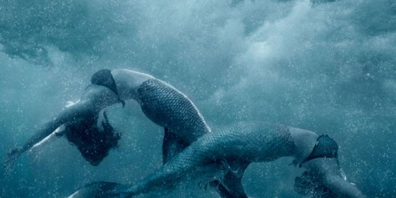 Berlino in Arte 2015