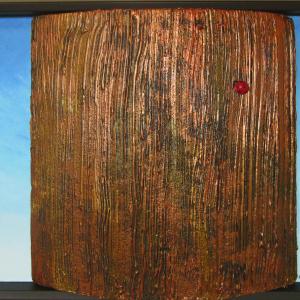 I SAGGI DELLA TERRA I SAGGI DELLA TERRA