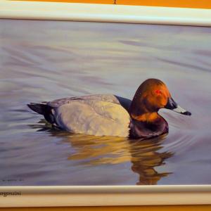 ANIMALS ART al Club La Meridiana di Modena