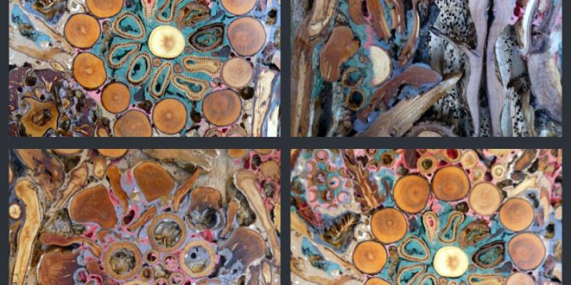 Inaugurazione 3° mostra ARTE/NATURA, Galleria Trasparente, Stazione Porta Venezia, Milano Inaugurazione 3° mostra ARTE/NATURA, Galleria Trasparente, Stazione Porta Venezia, Milano