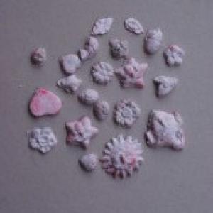 CICLO RICICLO CICLO RICICLO