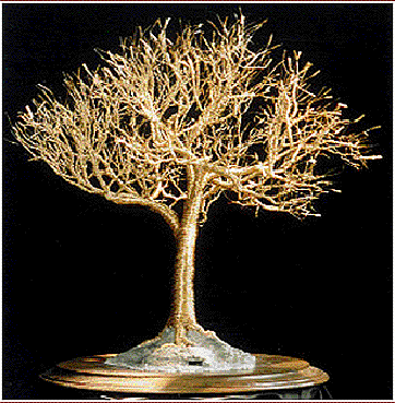 Golden Elm, wire tree sculpture Golden Elm, wire tree sculpture