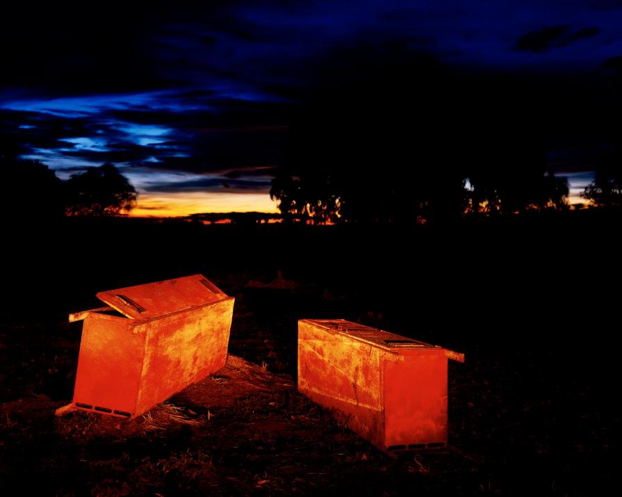 I opened my mouth to it and drew deep breaths of jungle atmosphere. It was not air, never air, but t I opened my mouth to it and drew deep breaths of jungle atmosphere. It was not air, never air, but t