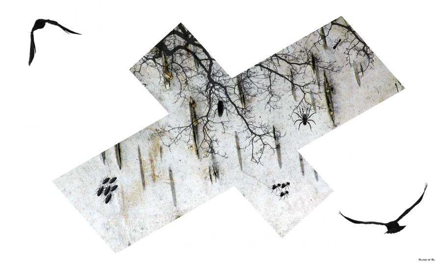 L' Isola del Tesoro - AlternativeVision