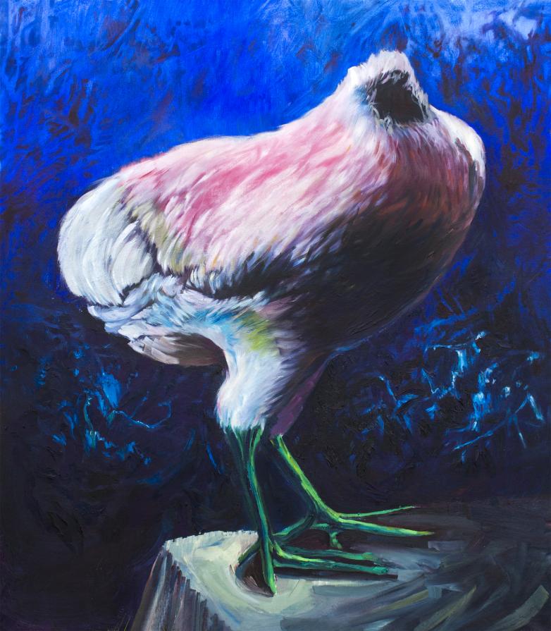 Mike the headless chicken Mike the headless chicken