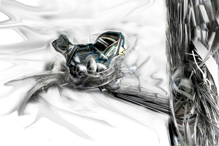 cova straccia cuci allaccia questa è la tua casa.