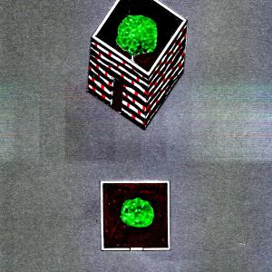 pianta e assonometria pianta e assonometria