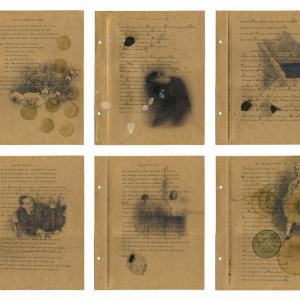 Daily News II Daily News II