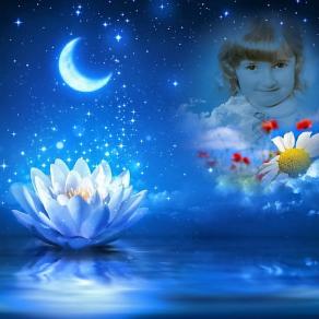 Ancora cercando la risposta  !!!