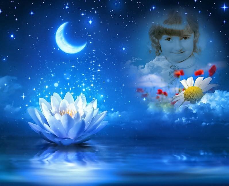 Ancora cercando la risposta  !!!