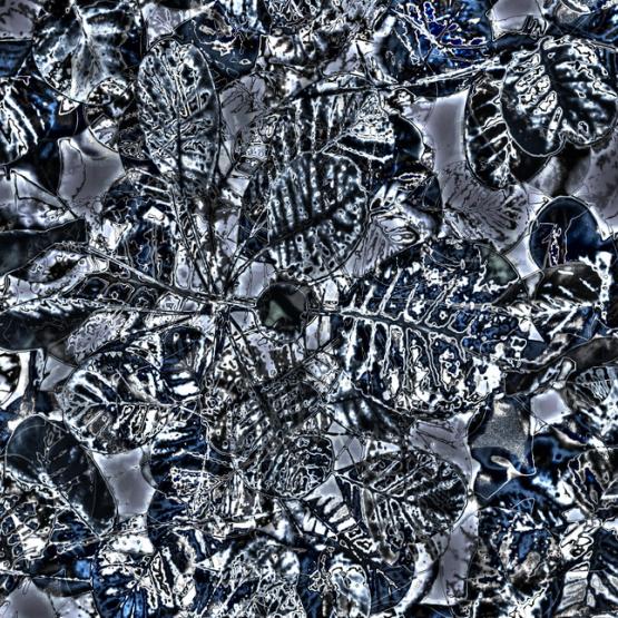 Esperienza autunnale durante la meditazione  - Autumn experience during meditation 