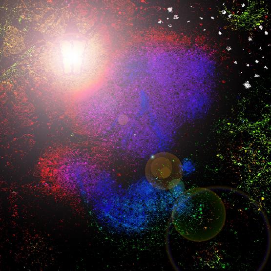 Com’è grande il mondo alla luce delle lampade, e come è piccolo agli occhi del ricordo...!!!