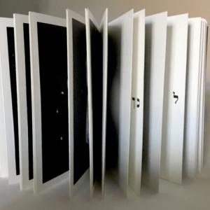 Letizia Ardillo e Yarona Pinhas Visioni