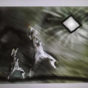 Passeggiar al chiaror di luna. 