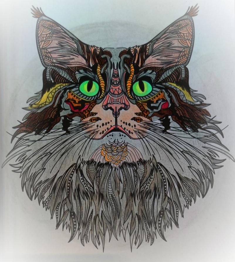 . Mi ha insegnato a scoprire chi ero...❤️❤️❤️