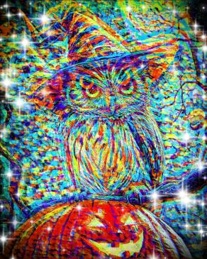 Lascia che la tua immaginazione sia la tua guida.Ti porterà in luoghi magici che non sapevi esistessero