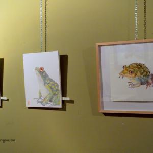 ANIMALS ART al Club La Meridiana di Modena