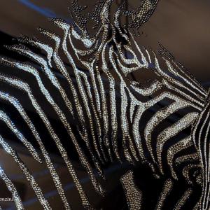 ANIMALS ART al Club La Meridiana di Modena