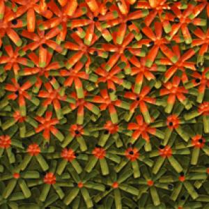 THE BIRTH OF AN IDEA THE BIRTH OF AN IDEA