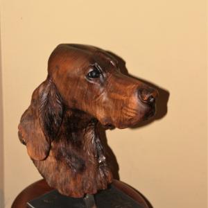 ANIMALS ART al Club La Meridiana di Modena