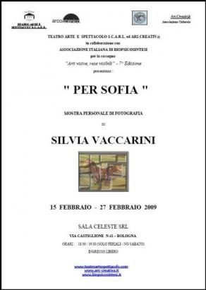 Locandina Mostra Silvia Vaccarini Sala Celeste Bologna Locandina Mostra Silvia Vaccarini Sala Celeste Bologna