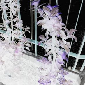 E' sempre la stessa realtà